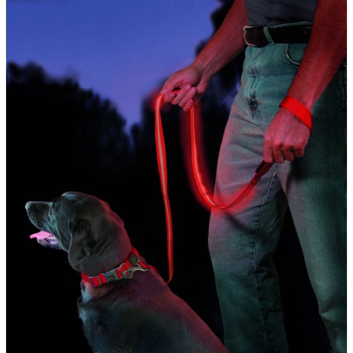 Glow in the Dark Nite Ize dog leash